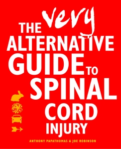 spinal cord injury low res